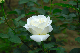 image0214
