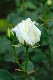 image0216