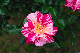 image0217