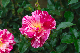 image0219