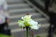 image0223