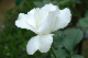 image0224