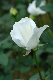 image0225