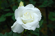 image0227