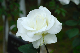 image0228