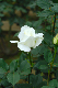 image0229