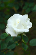 image0230