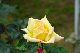 image0231