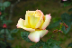 image0232