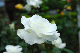 image0235