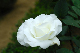 image0236