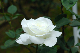 image0237