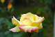 image0241