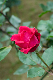 image0251
