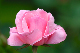 image0258