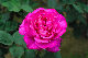 image0262