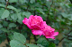 image0263
