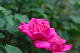 image0264