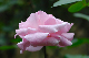 image0268