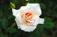 image0272