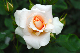 image0273