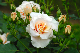image0274