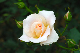 image0277