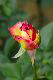 image0279
