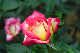 image0280