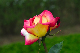 image0281