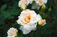 image0282