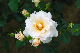image0283