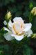image0285