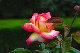 image0289