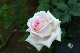 image0292