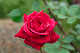 image0296