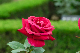 image0297