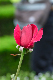 image0298