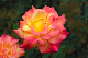 image0300