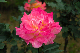 image0302