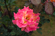 image0304