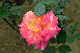 image0308