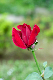 image0312