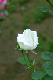 image0314