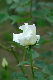 image0315