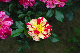 image0317