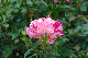 image0319