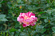 image0320
