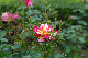 image0322