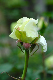 image0323